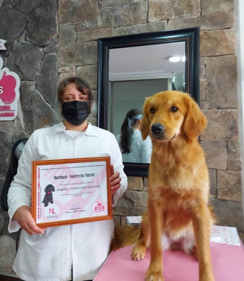 Estudiantes de Peluquería Canina