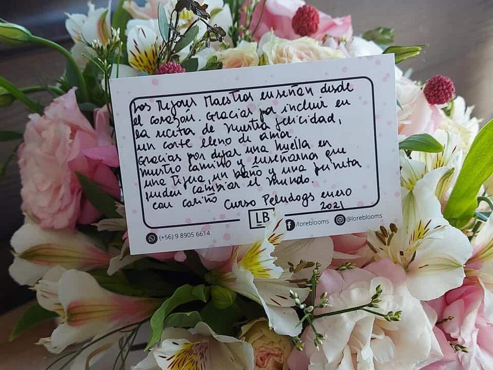 Testimonios Alumnos